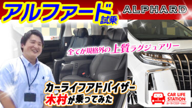 【アルファード試乗】販売スタッフ・木村がアルファードを試乗しながらランチを賭けてクイズバトル！【第7弾】